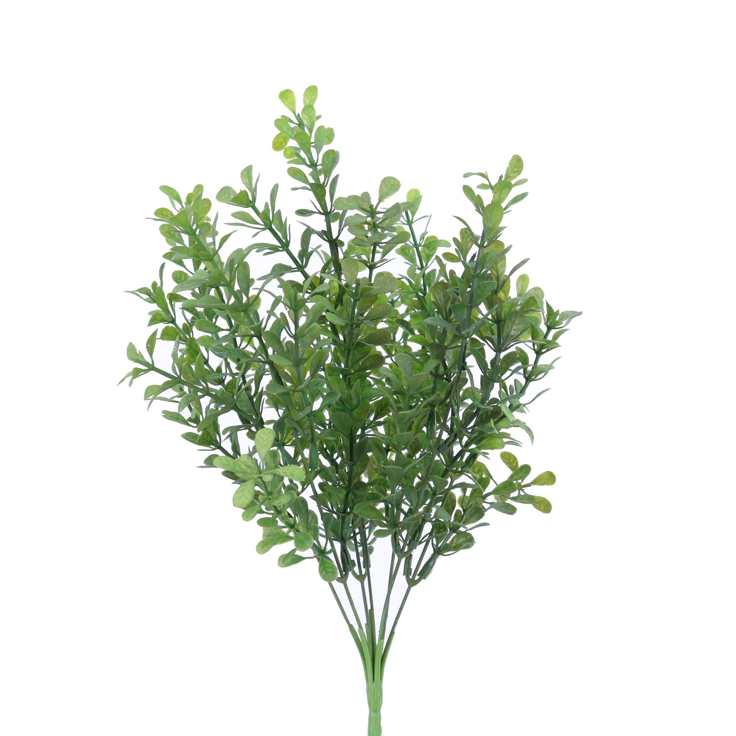 BG10531 BOXWOOD BUSHx7,14in-36/360P