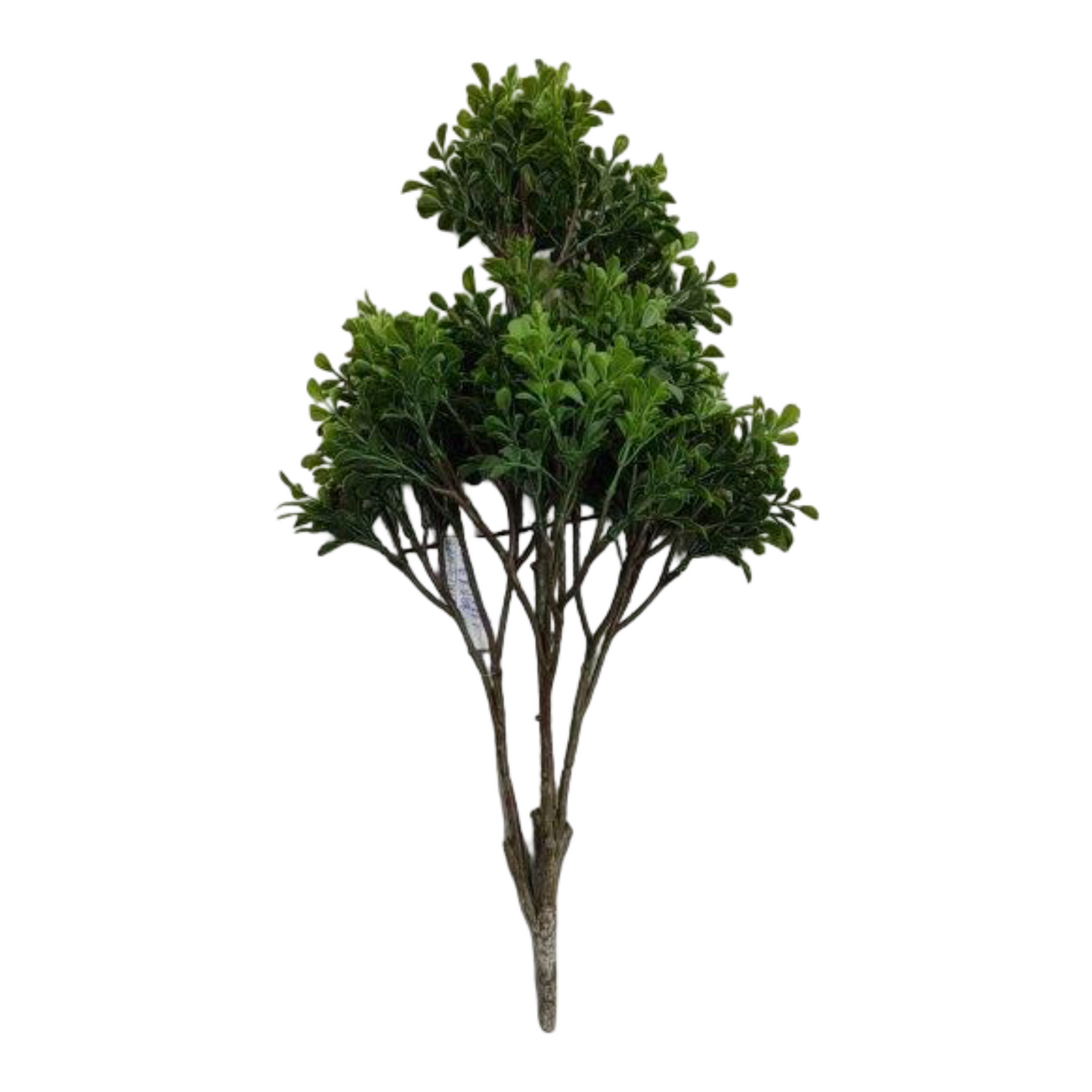 BG10682 BOXWOOD BUSH (UV) 25"