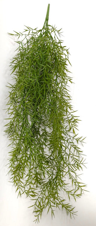 BG10732 ASPARAGUS HANGING BUSH,32"