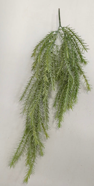 BG10735 ROSEMARY HANGING BUSH,24"
