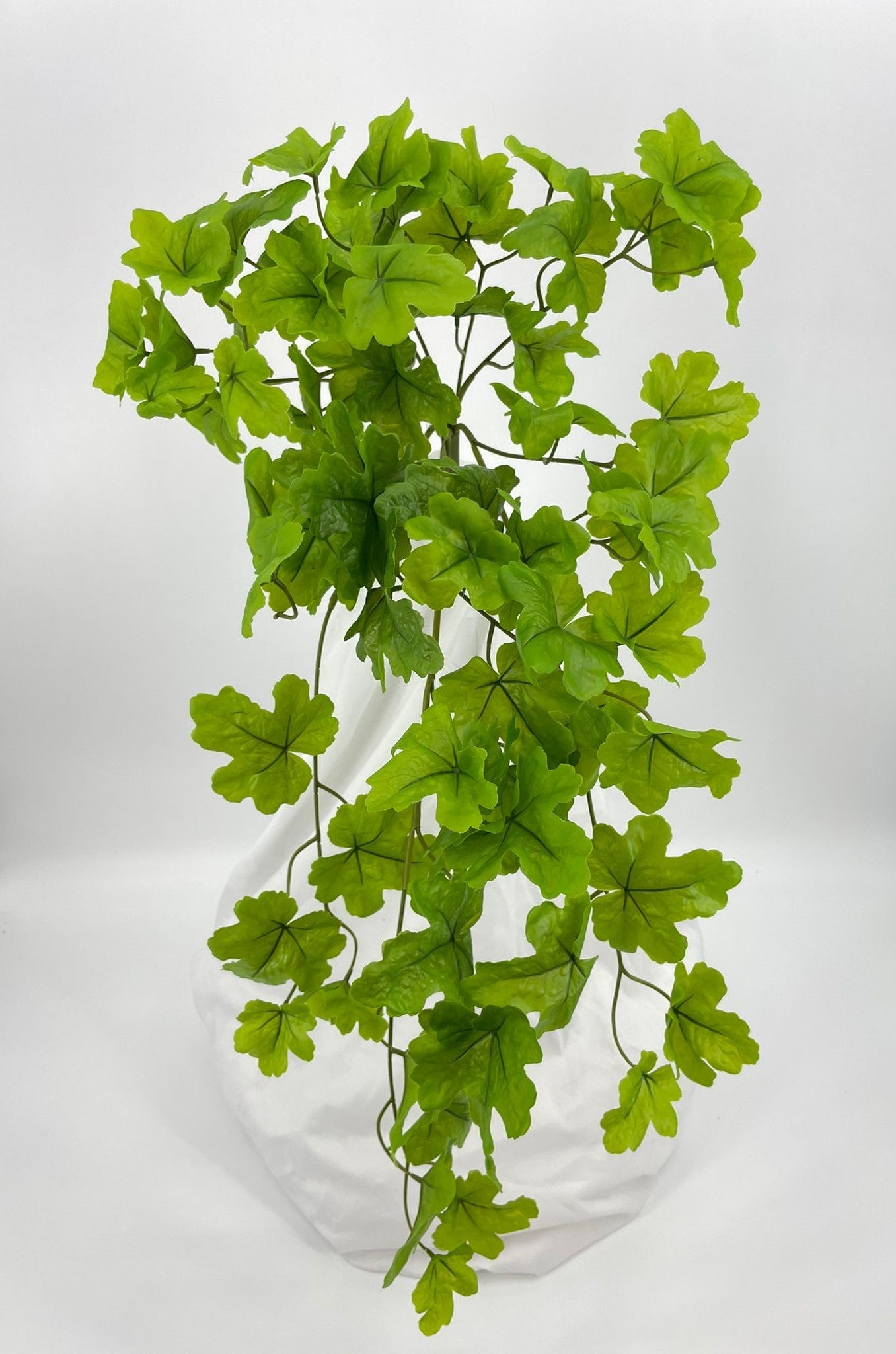 BG10771 HEUCHERA HANGING BUSH 32"