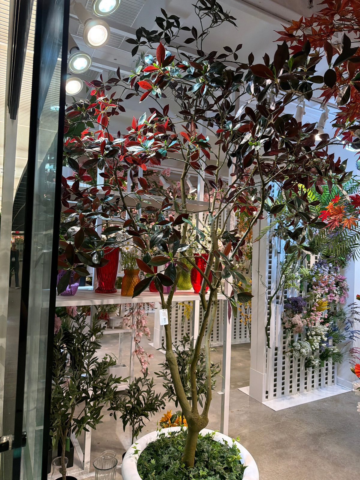 TR10917 CAPENSIA TREE 8'