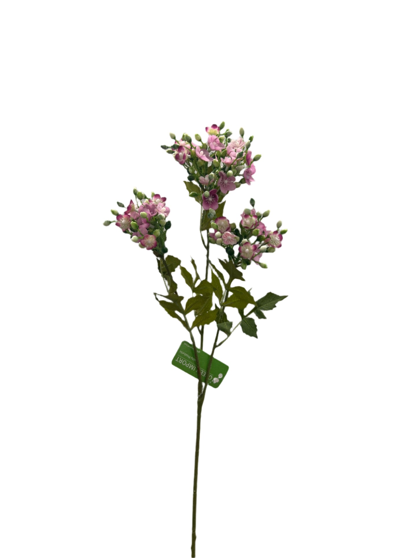 FL13514 STEPHANOTIS SPRAYx3 32"