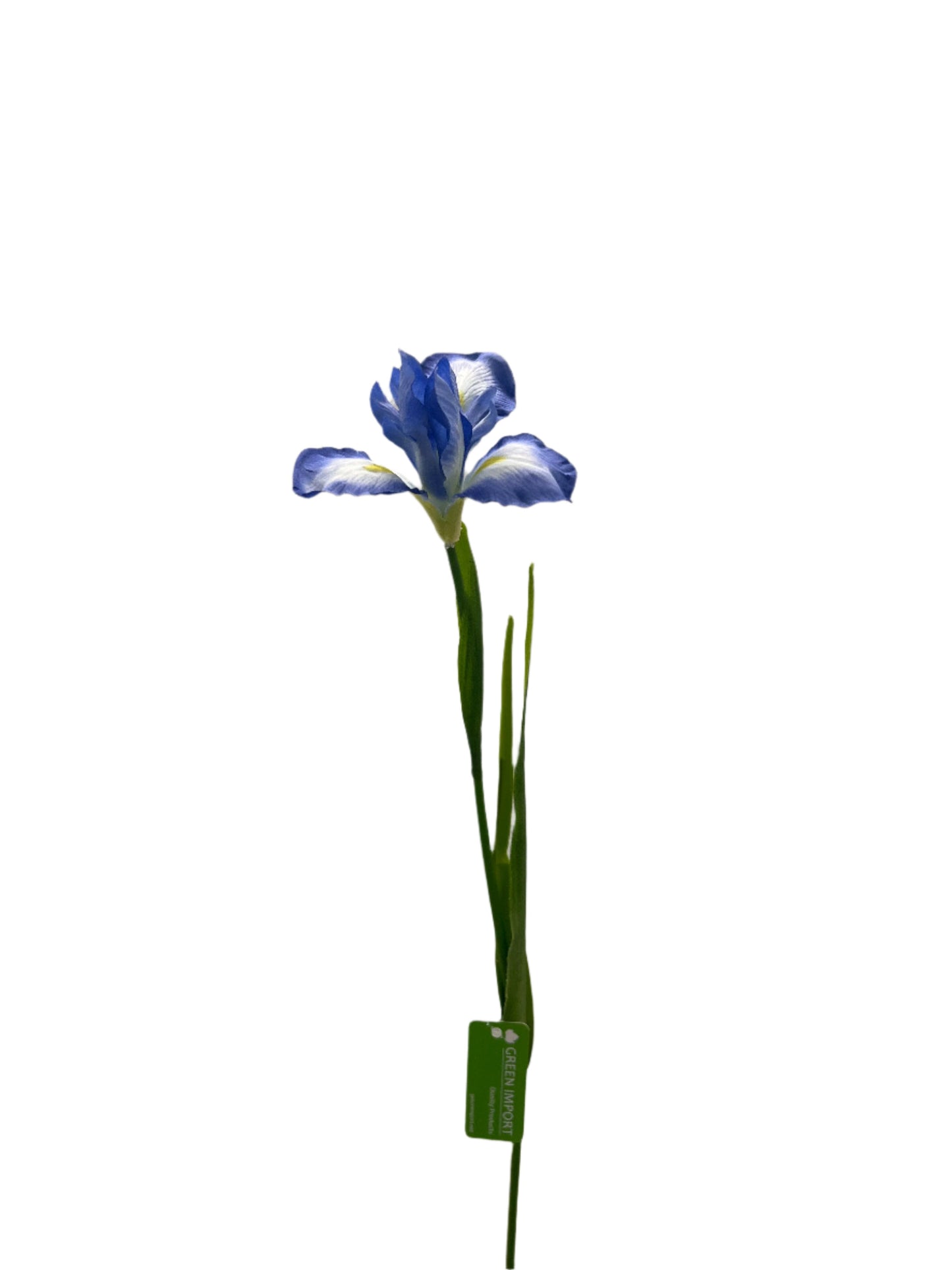 FL13535 DUTCH IRIS SPRAY 30"