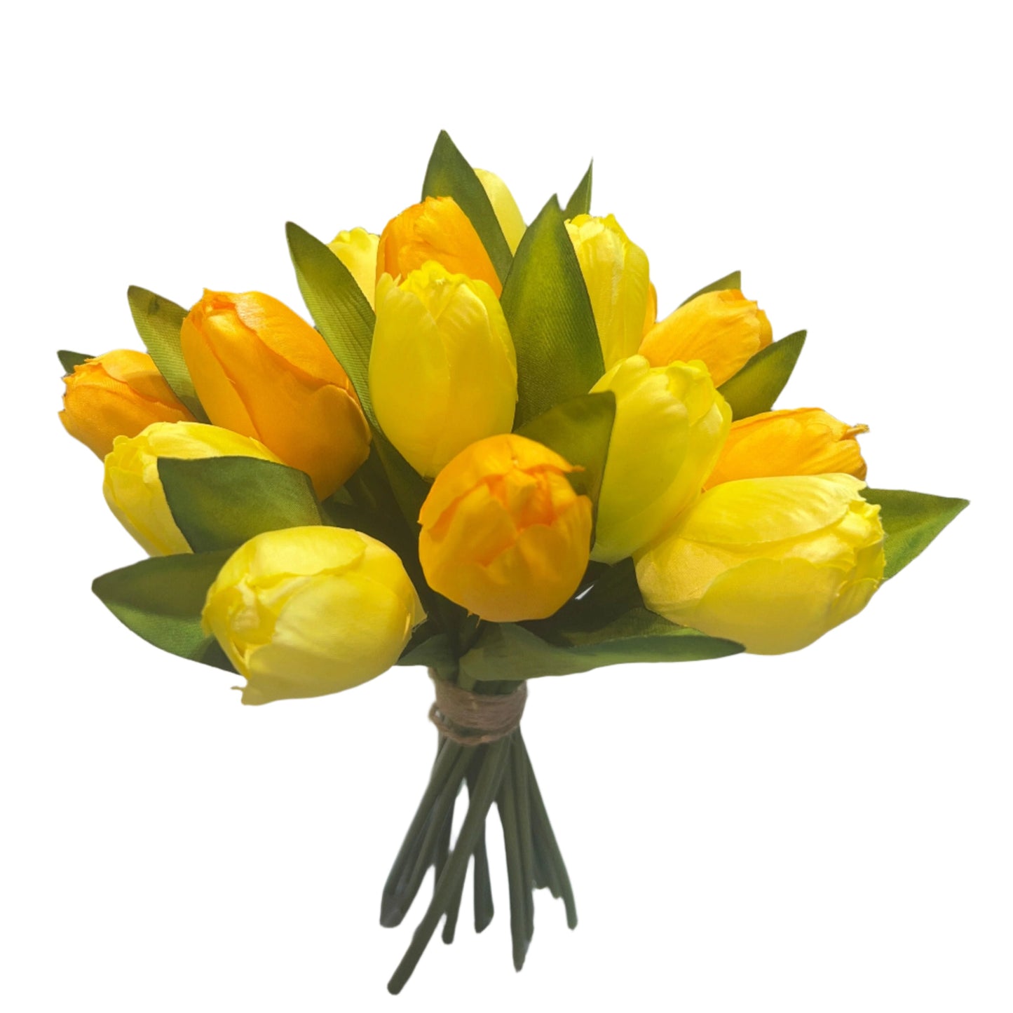 PA10410 TULIP BUNDLEx16 11"