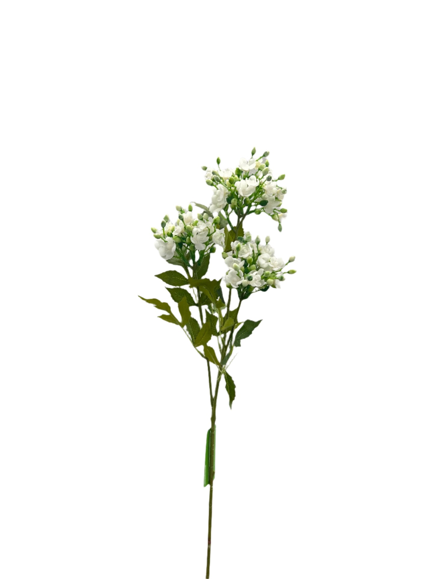 FL13514 STEPHANOTIS SPRAYx3 32"