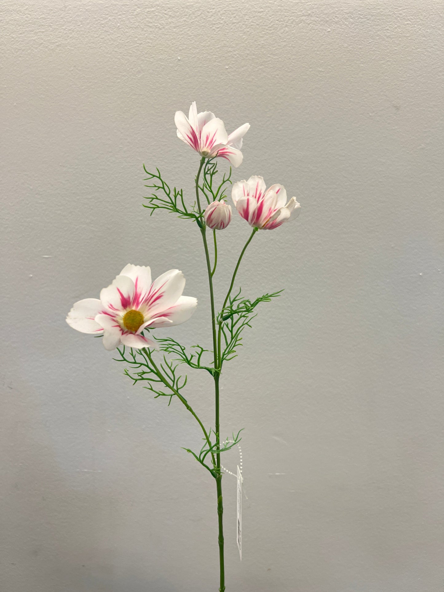 FL13593 COSMOS SPRAY (NAT) 28"