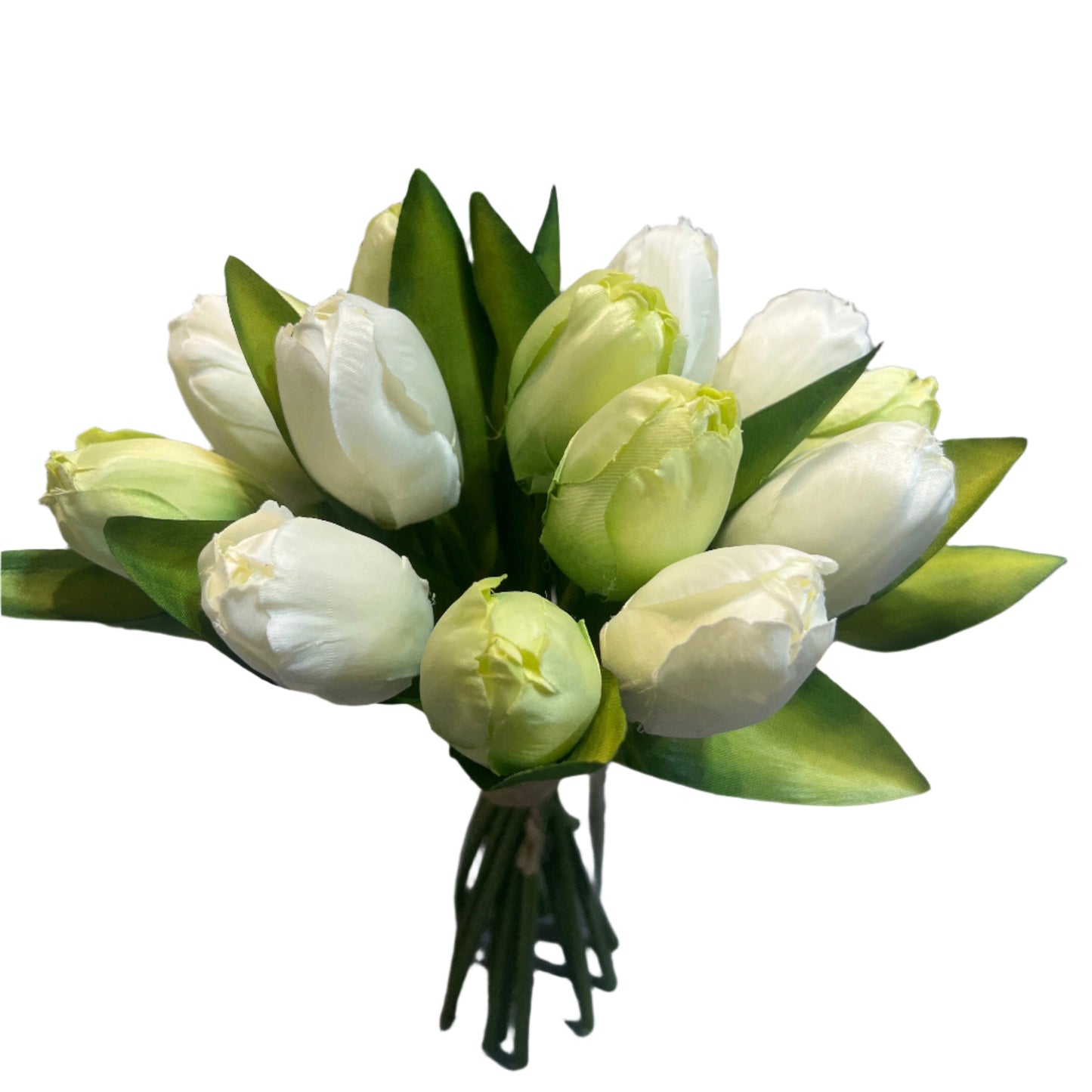 PA10410 TULIP BUNDLEx16 11"