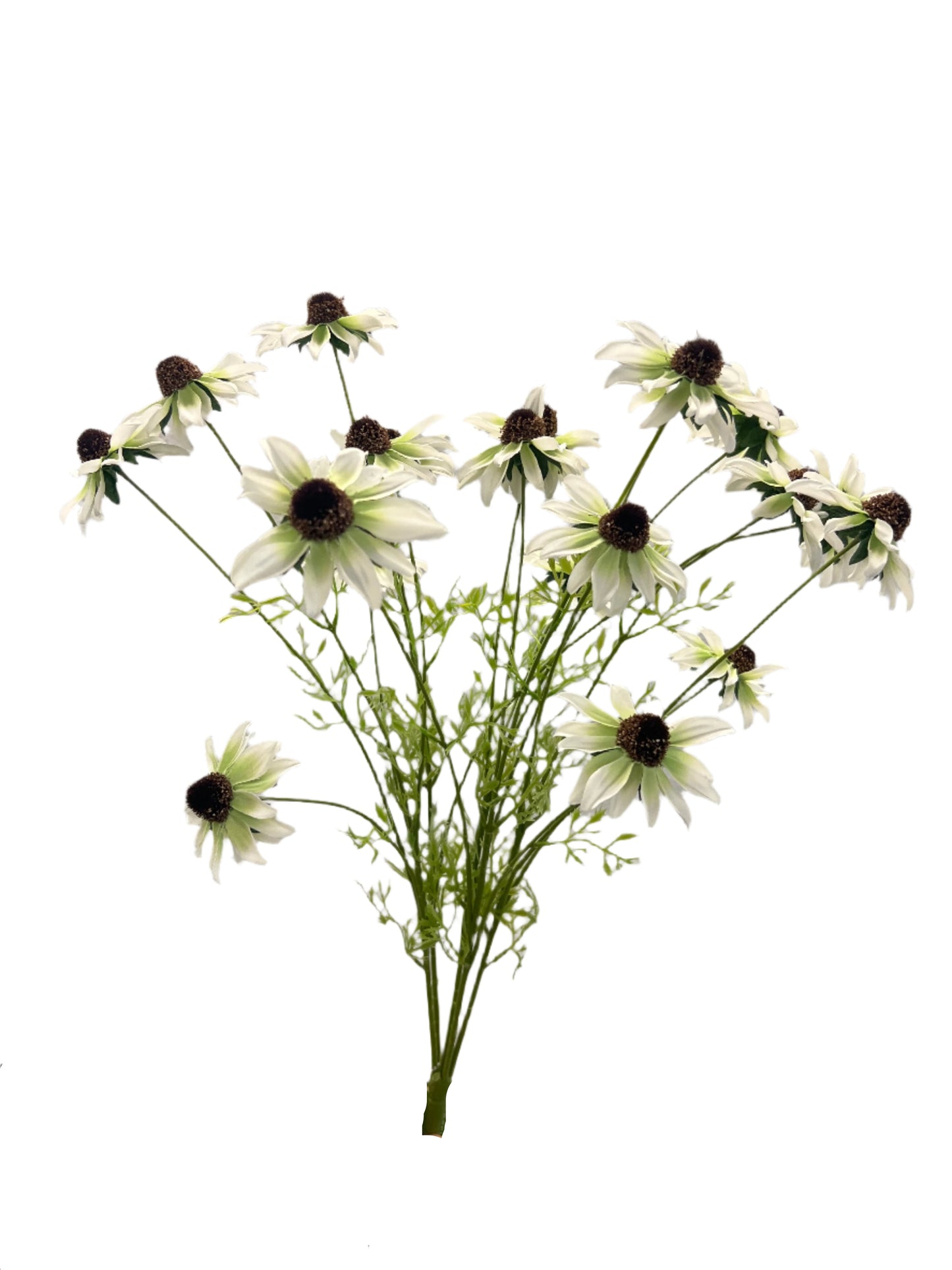 BF10268 BLACK EYE SUSAN BUSHx5 22"