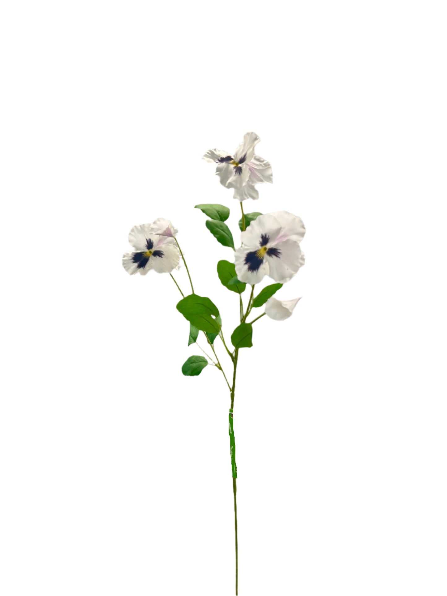 FL13574 PANSY SPRAY 12in-48/480P