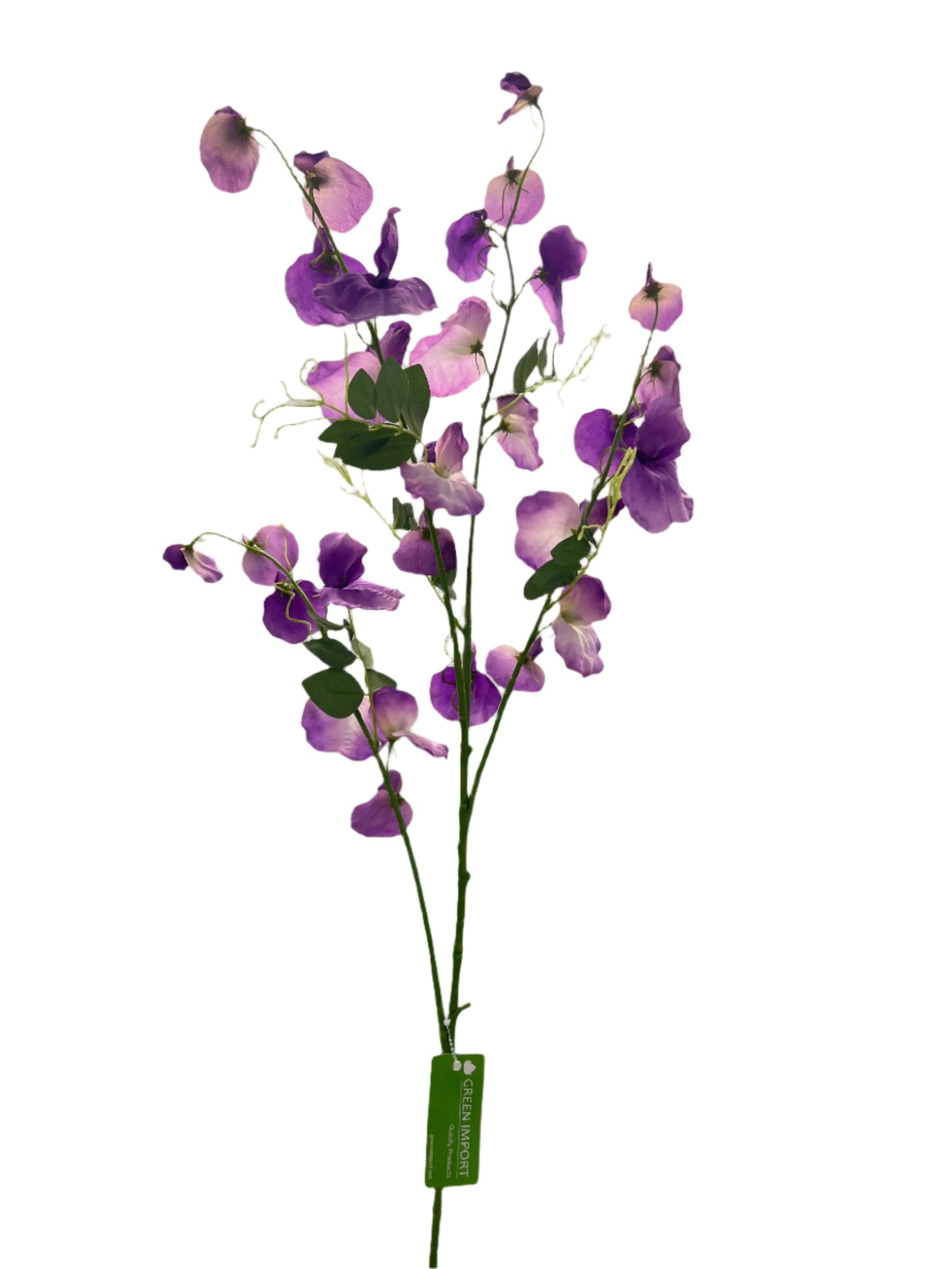 FL13512 SWEET PEA SPRAYx5 55"