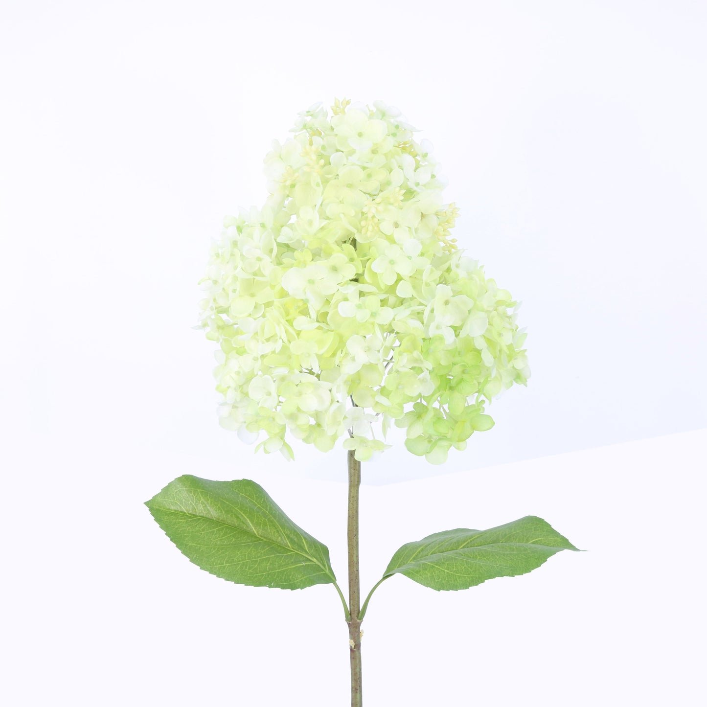 FL10803 GIANT PG HYDRANGEA,42in-12P/24/6.9'