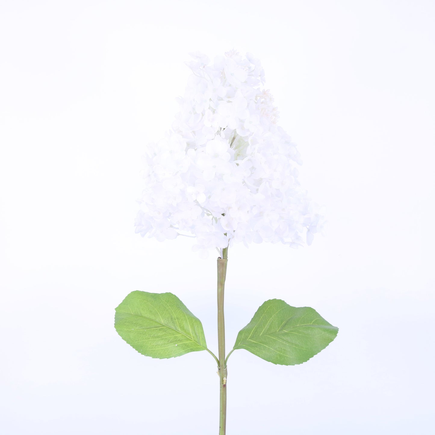 FL10803 GIANT PG HYDRANGEA,42in-12P/24/6.9'