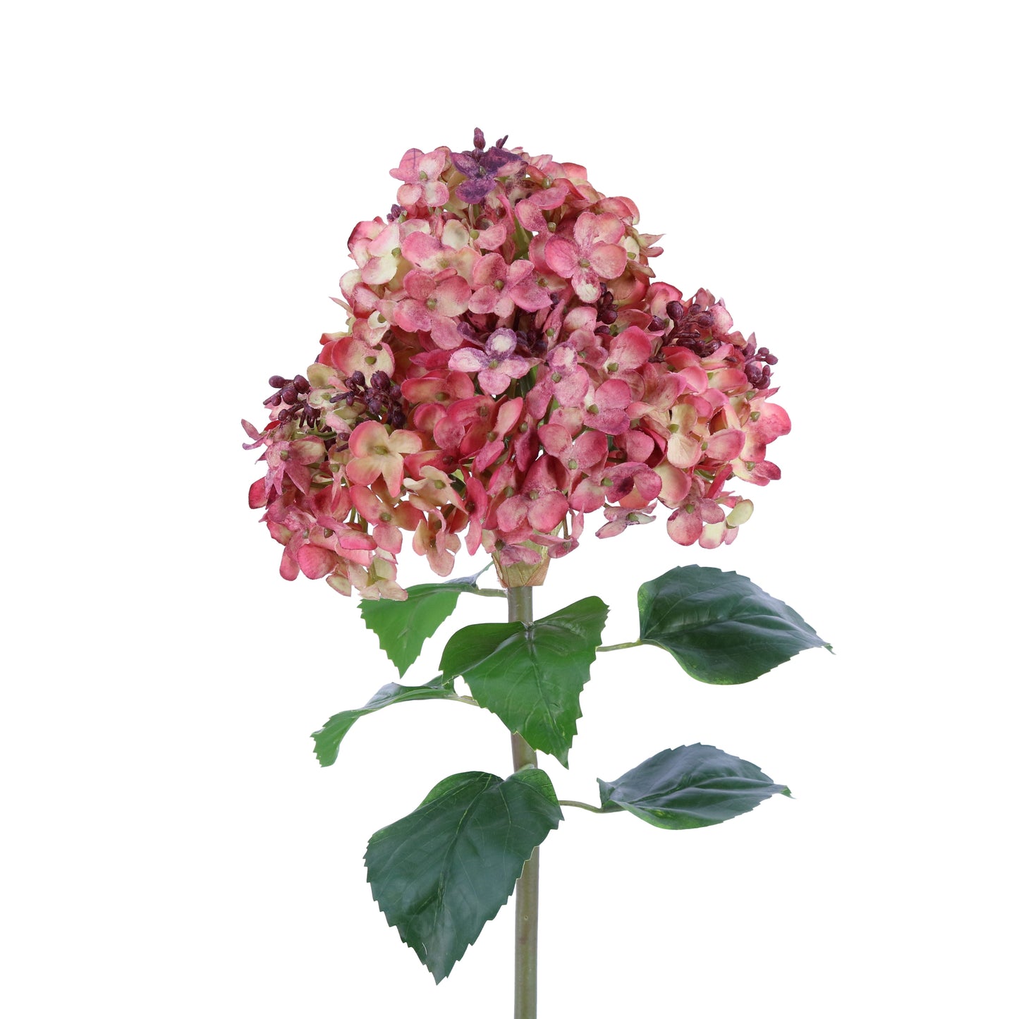 FL10804 PG HYDRANGEA,23in-12P/48/6.18'