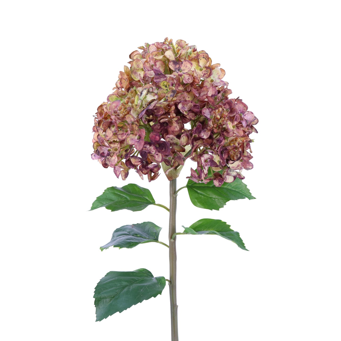FL10804 PG HYDRANGEA,23in-12P/48/6.18'
