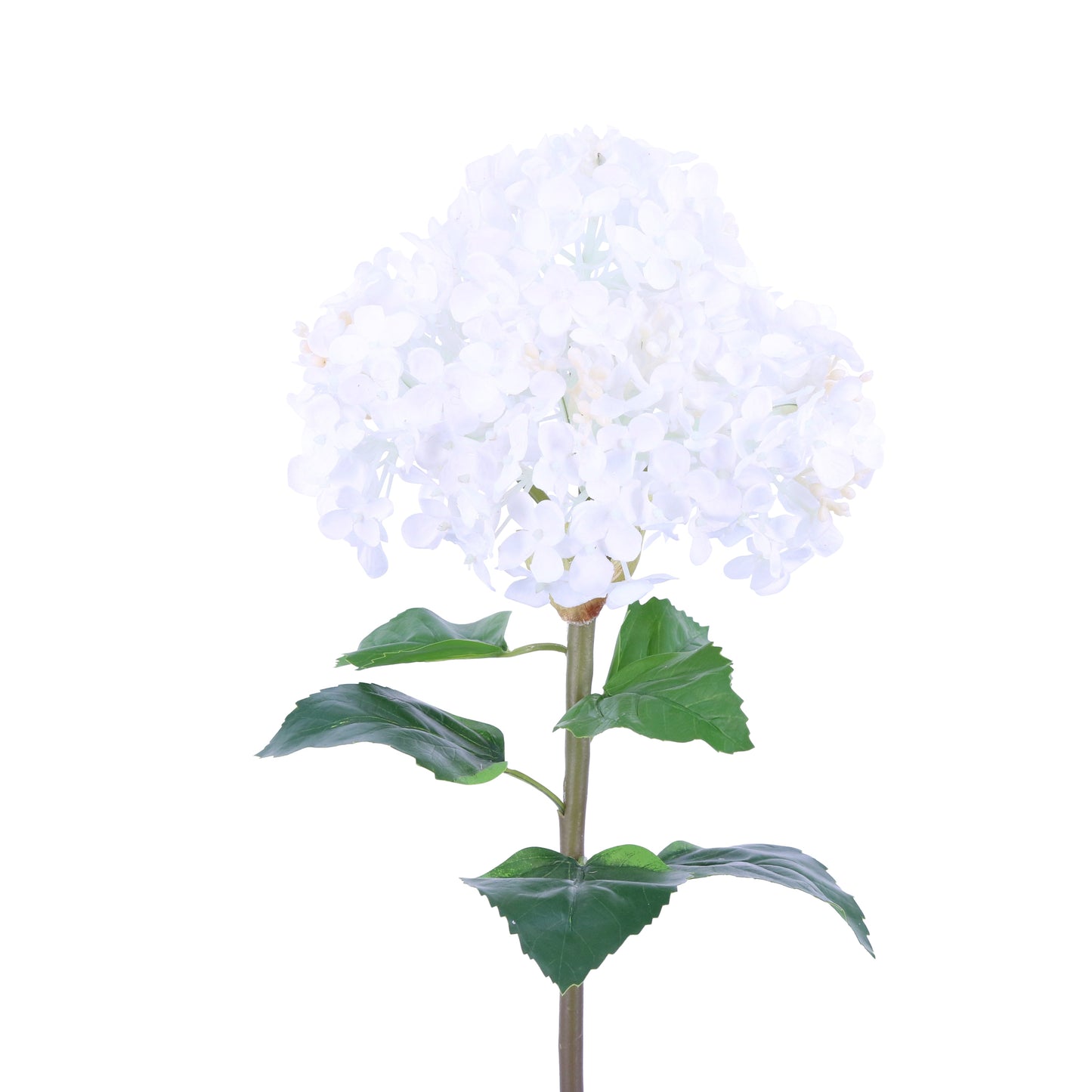 FL10804 PG HYDRANGEA,23in-12P/48/6.18'