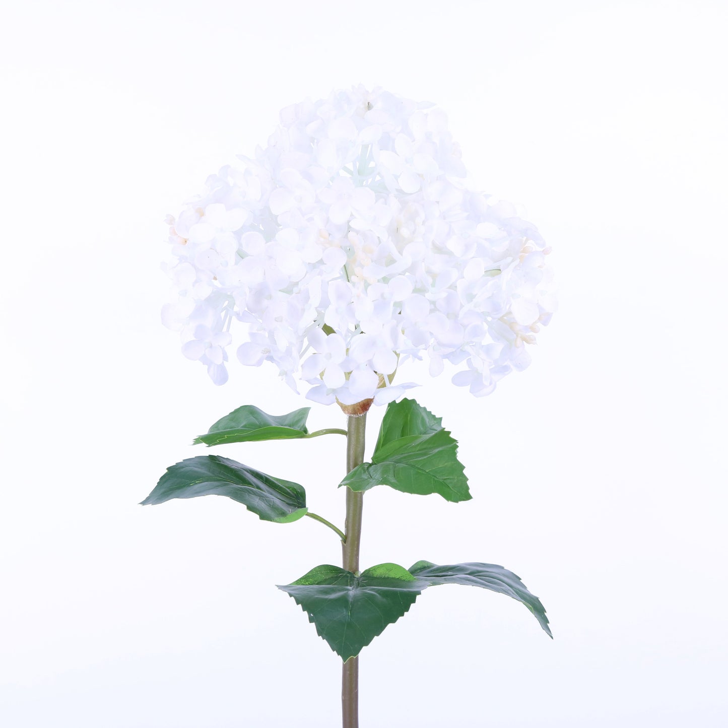 FL10804 PG HYDRANGEA,23in-12P/48/6.18'