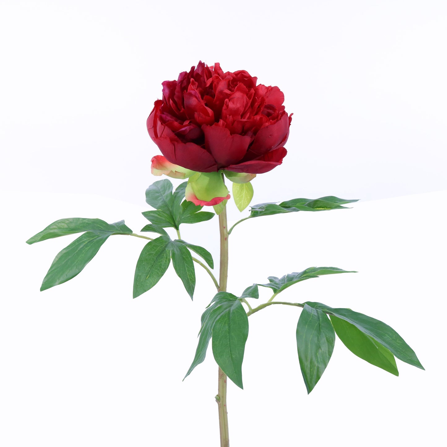 FL10808 PEONY SPRAY,26in-12P/96/7.5'