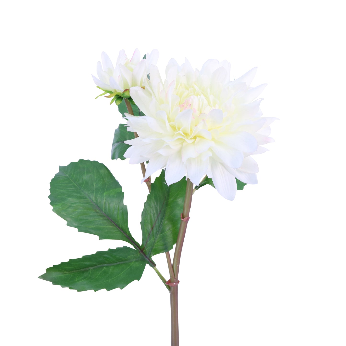 FL10810 DAHLIA SPRAYx1F1B,22in-12P/96/7.58'
