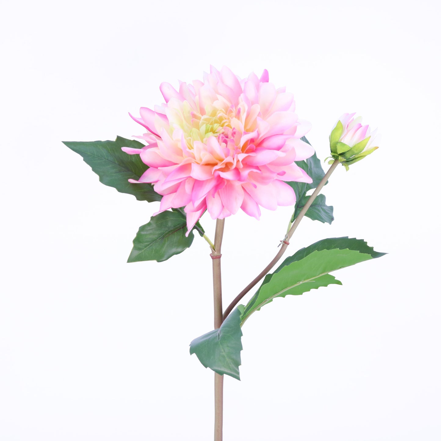 FL10810 DAHLIA SPRAYx1F1B,22in-12P/96/7.58'