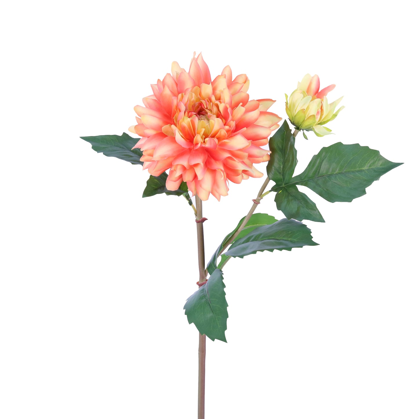 FL10810 DAHLIA SPRAYx1F1B,22in-12P/96/7.58'