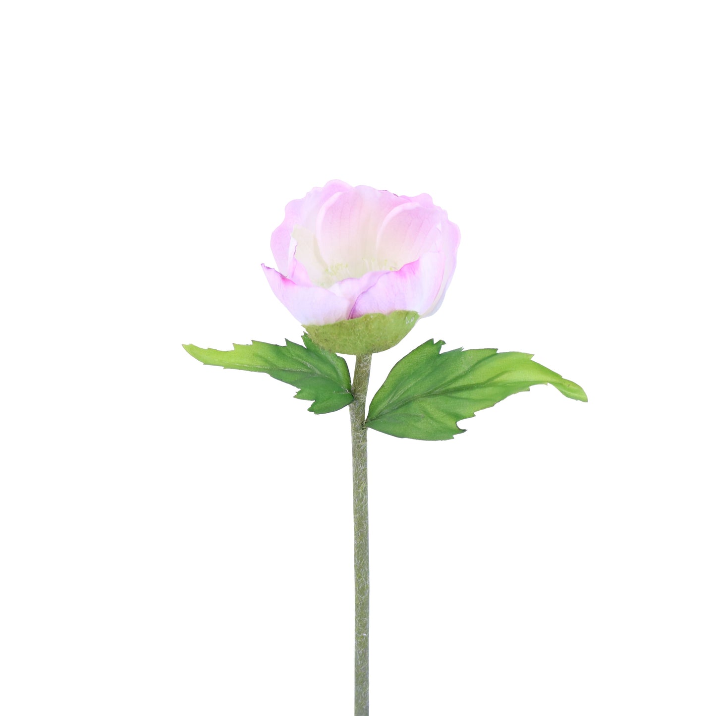 FL10822 POPPY,25in-12P/192/6.35'