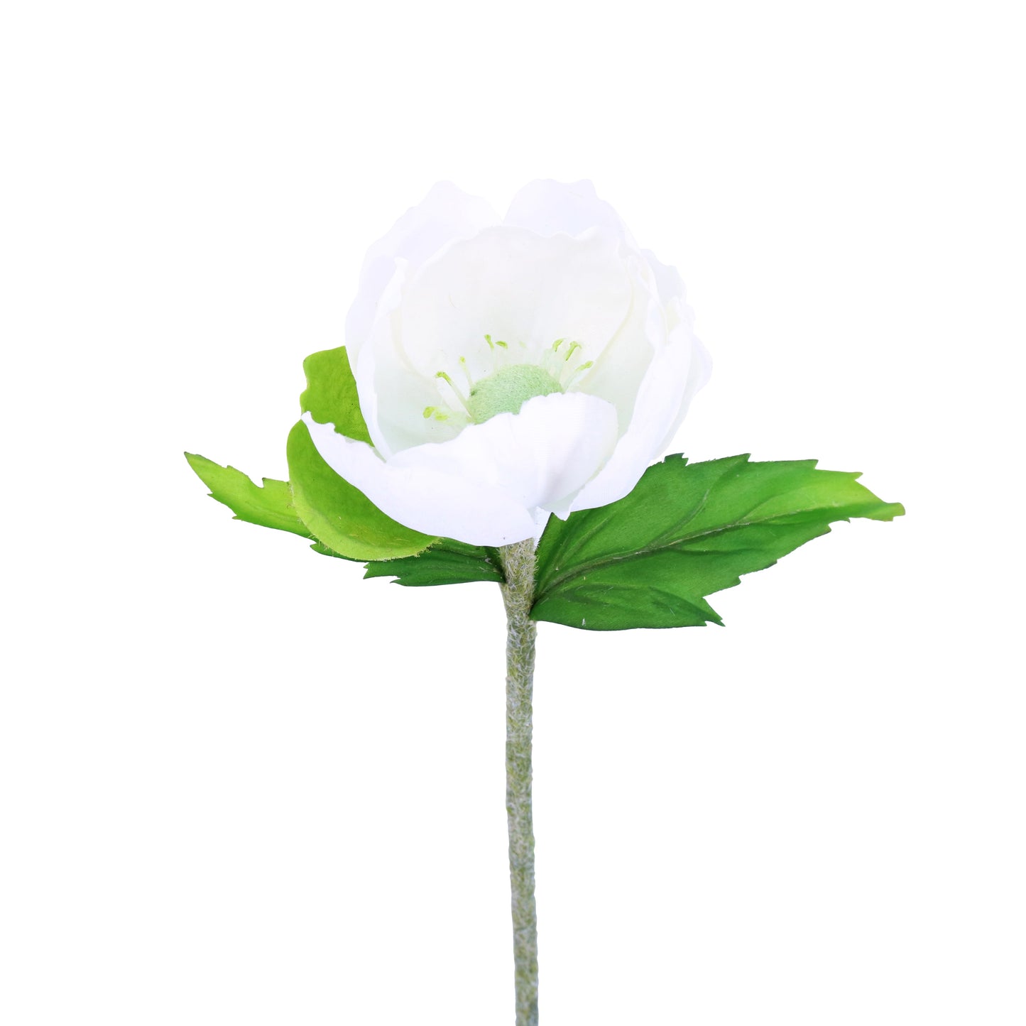 FL10822 POPPY,25in-12P/192/6.35'