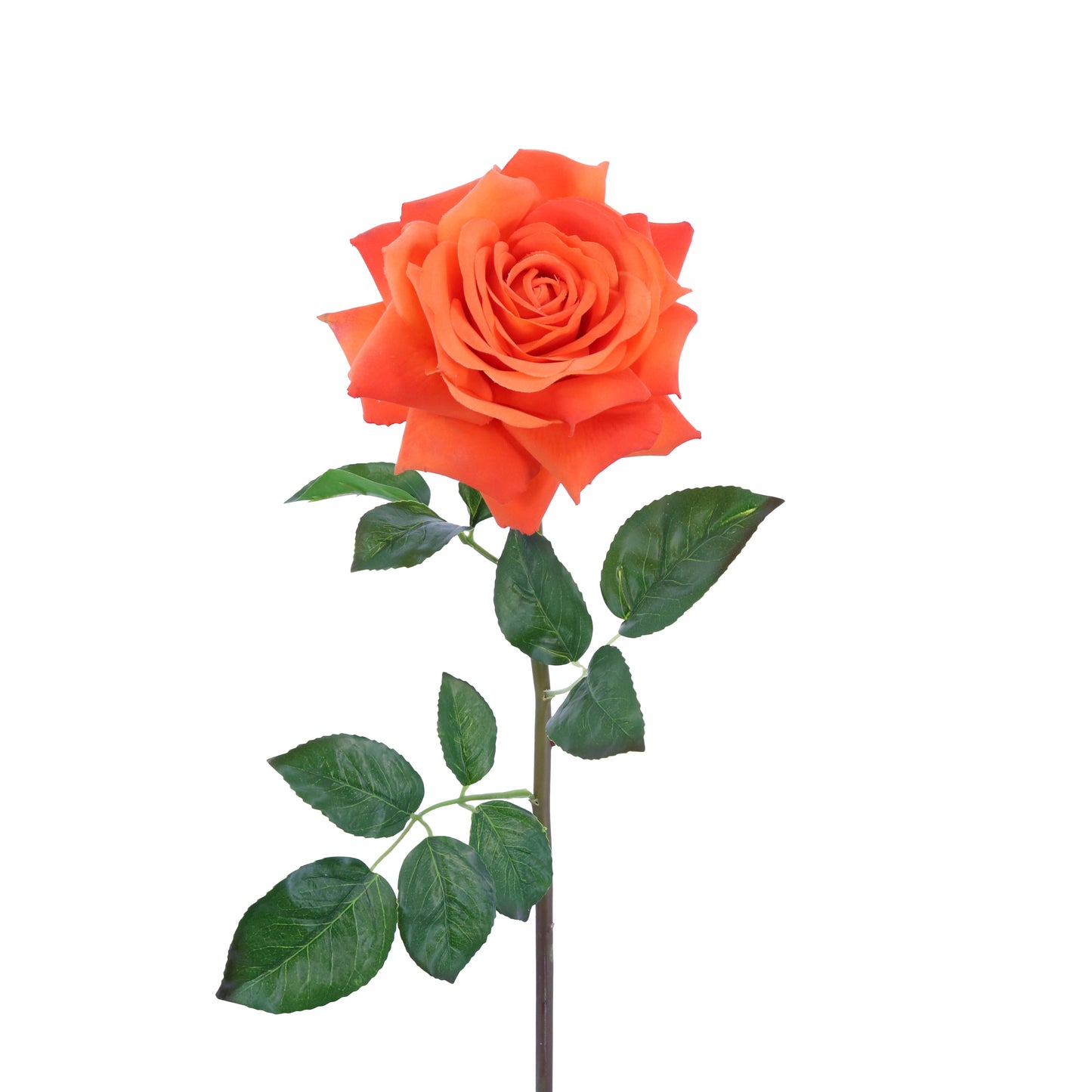 FL10837 OPEN ROSE SPRAY,27in-12P/72/6.8'
