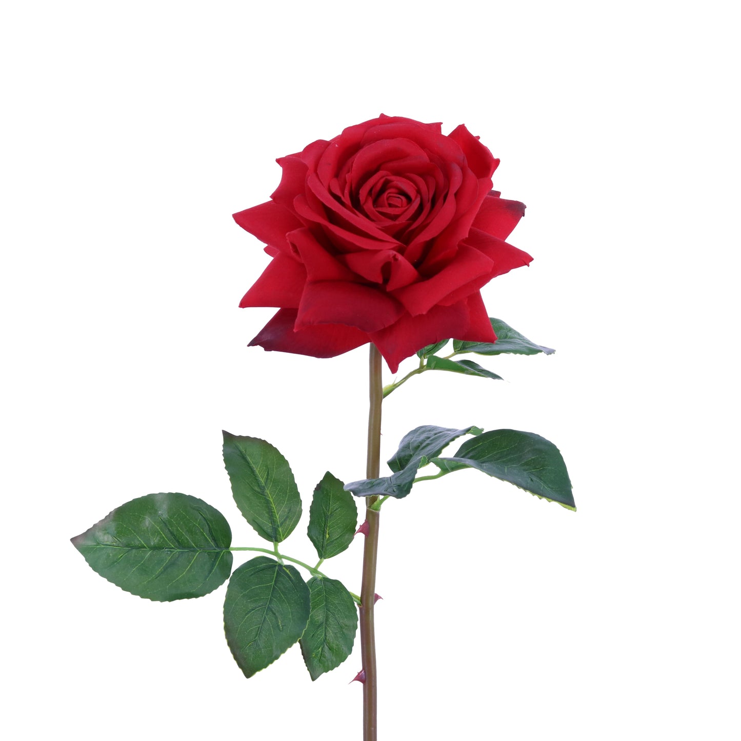 FL10837 OPEN ROSE SPRAY,27in-12P/72/6.8'