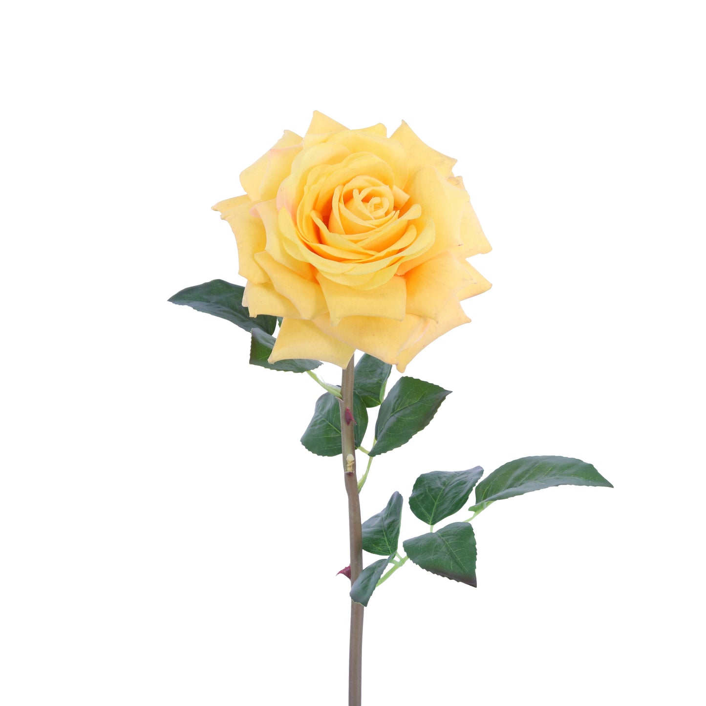 FL10837 OPEN ROSE SPRAY,27in-12P/72/6.8'