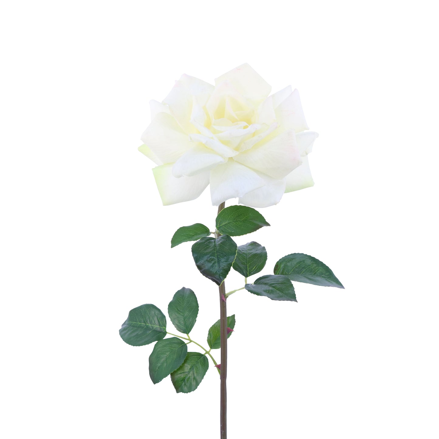FL10839 LG OPEN ROSE SP,26in-12P/60/6.93'