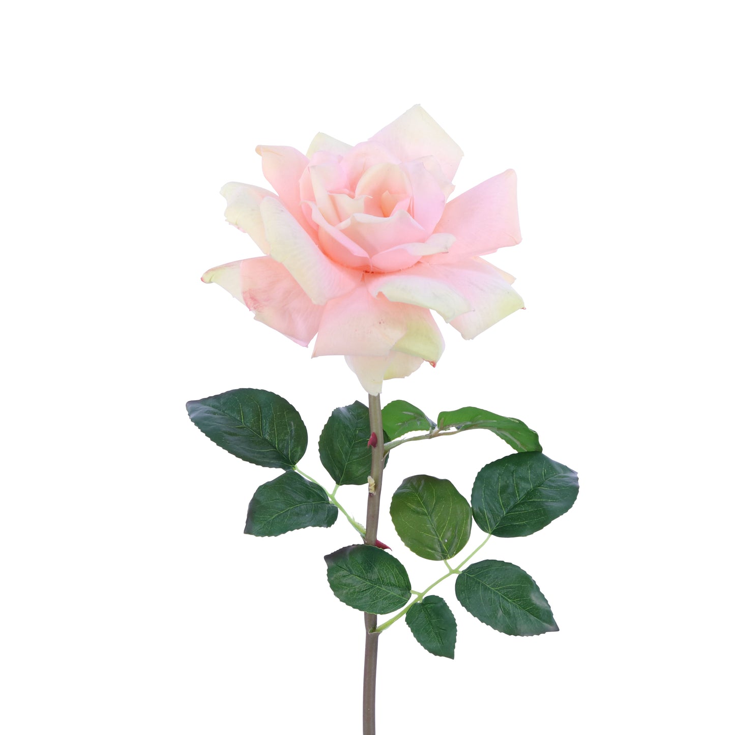 FL10839 LG OPEN ROSE SP,26in-12P/60/6.93'
