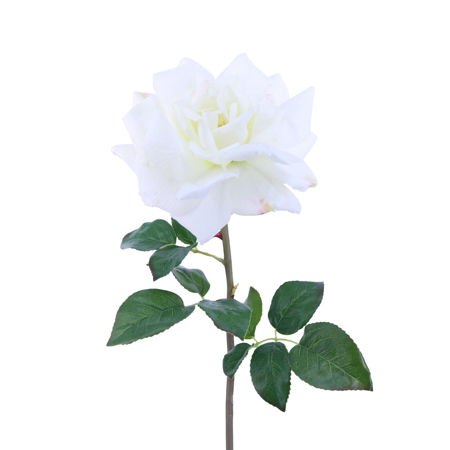 FL10839 LG OPEN ROSE SP,26in-12P/60/6.93'