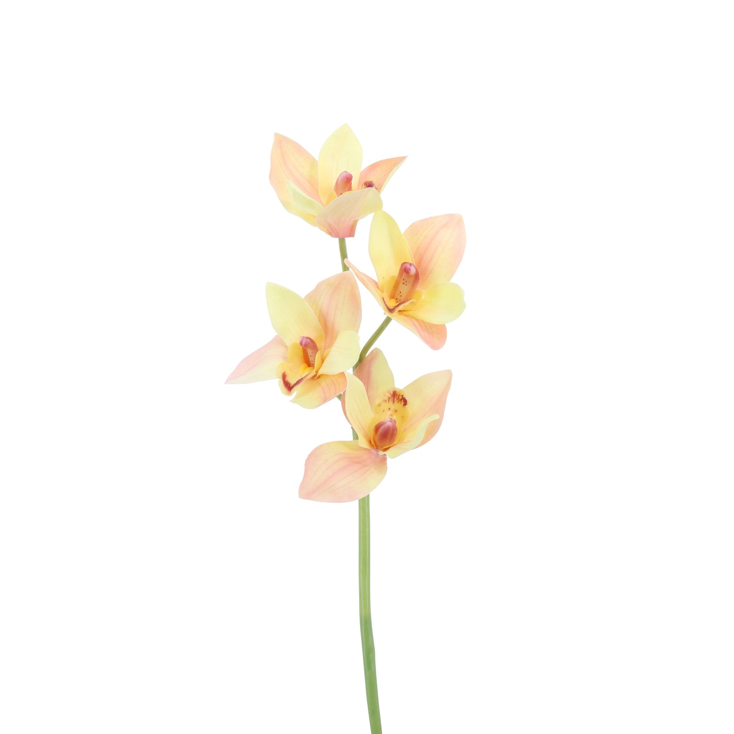 FL11229 CYMBIDIUM SPRAYx4F,22in-12P/96/6.37