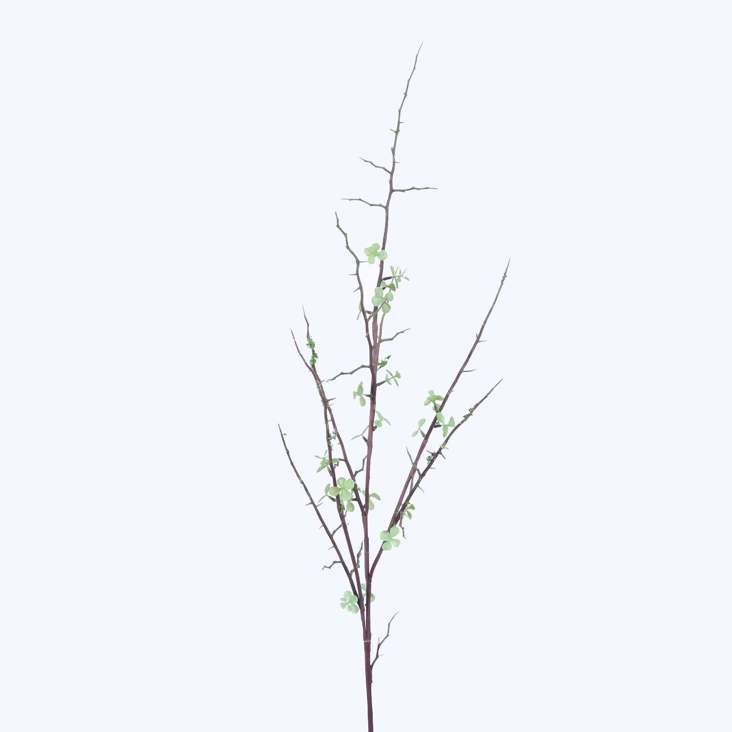 FL11235 MINI LEAF SPRAY,46in-12P/72/6.15'