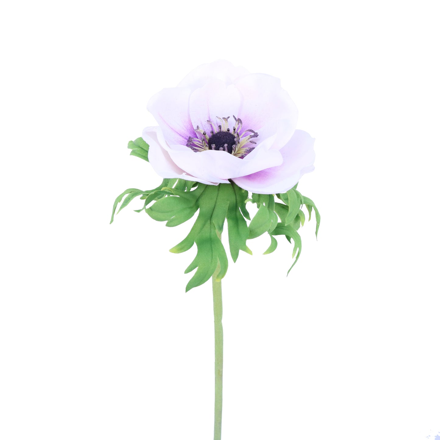 FL11405 ANEMONE,23in-12P/144/7.02'
