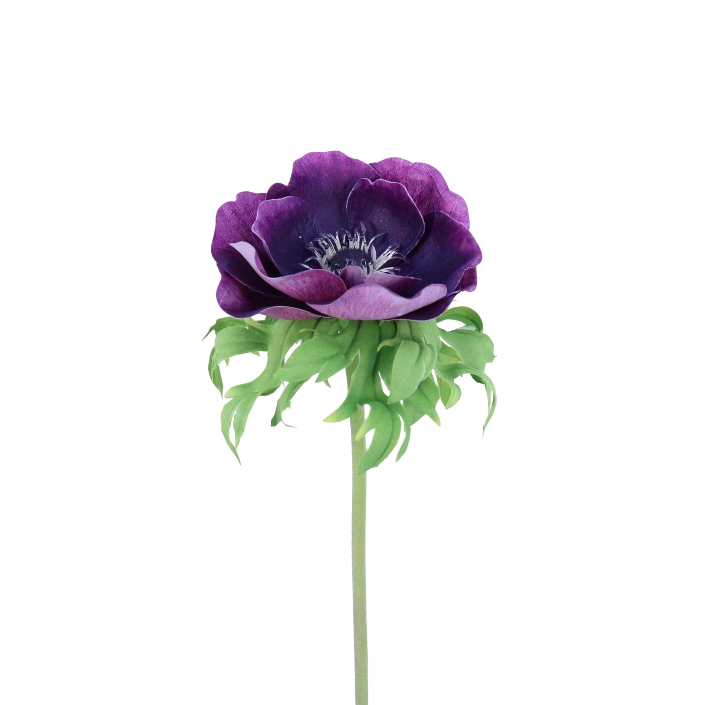 FL11405 ANEMONE,23in-12P/144/7.02'