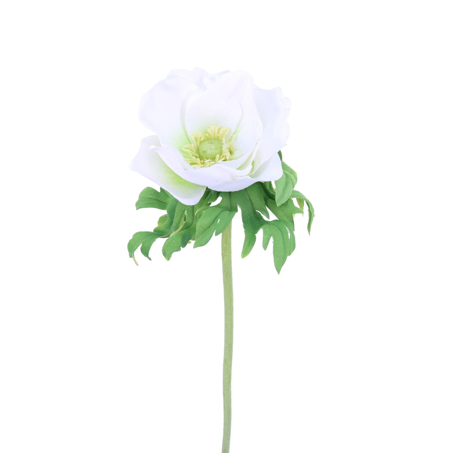 FL11405 ANEMONE,23in-12P/144/7.02'
