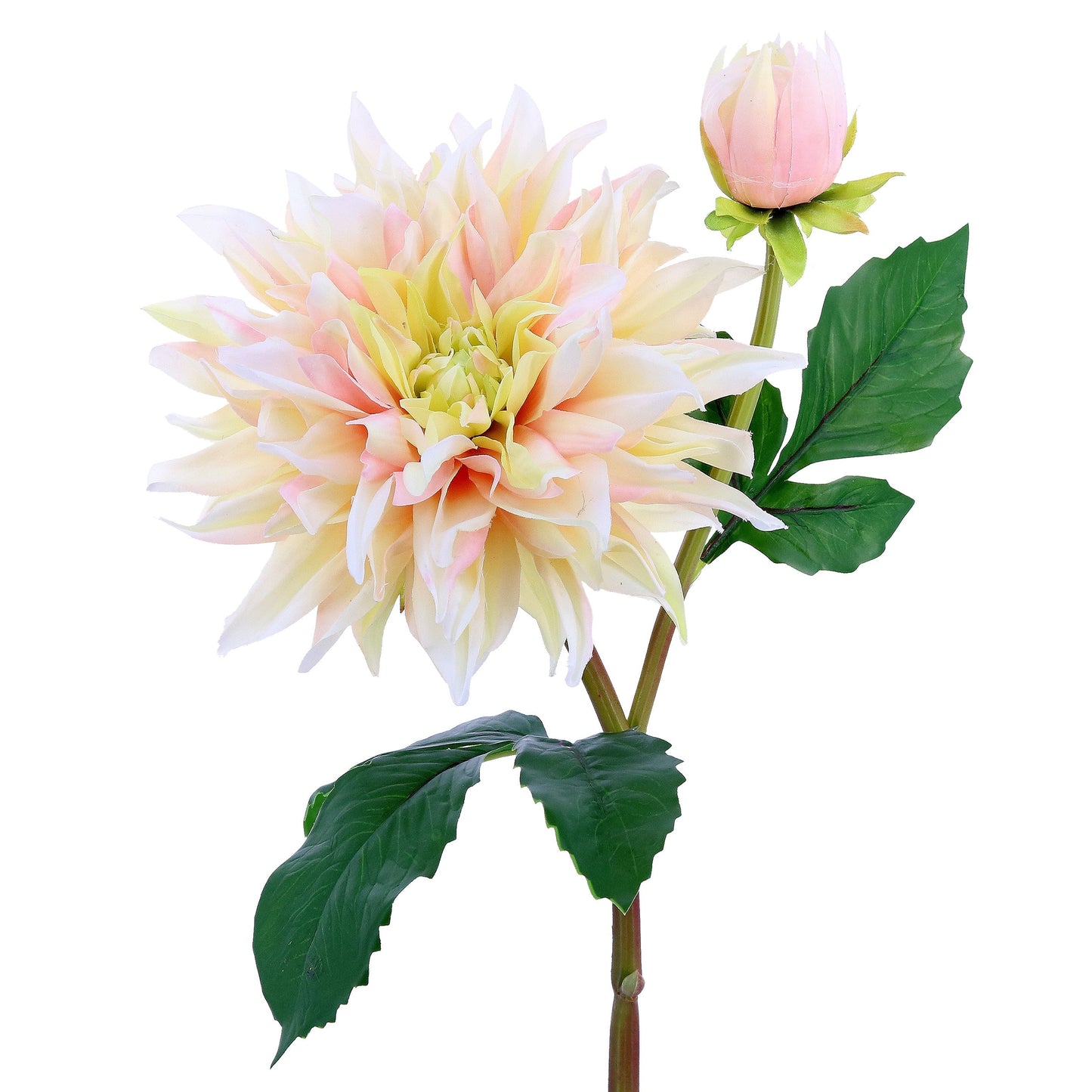 FL11409 DAHLIA SPRAYx1F1B,28in-12P/72/7.03'