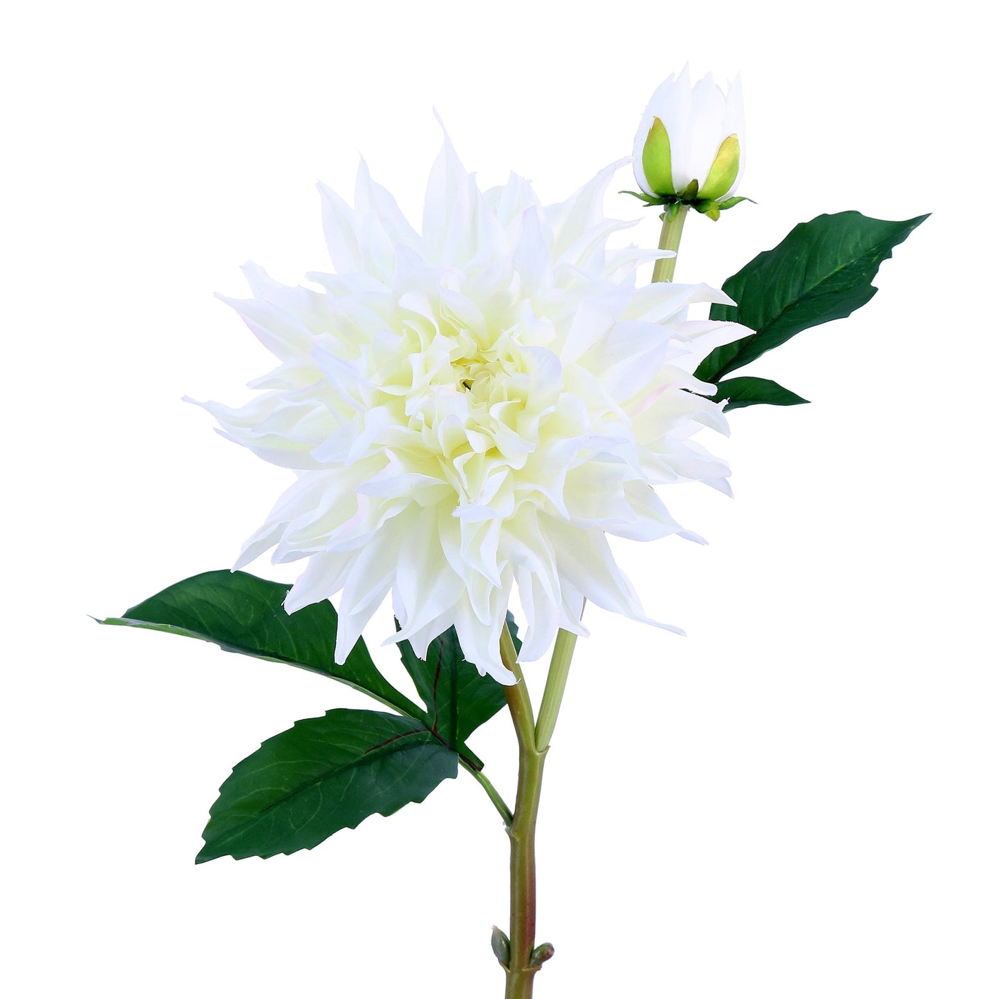 FL11409 DAHLIA SPRAYx1F1B,28in-12P/72/7.03'