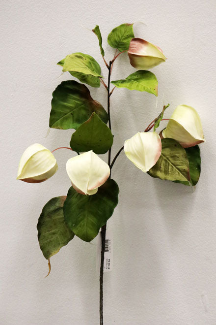 FL11621 CHINESE LANTERN SPRAY,33in-12P/96