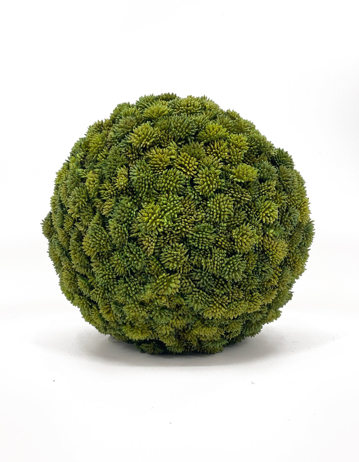 FL11643 SUCCULENT BALL,9in-6P/12/5.46'