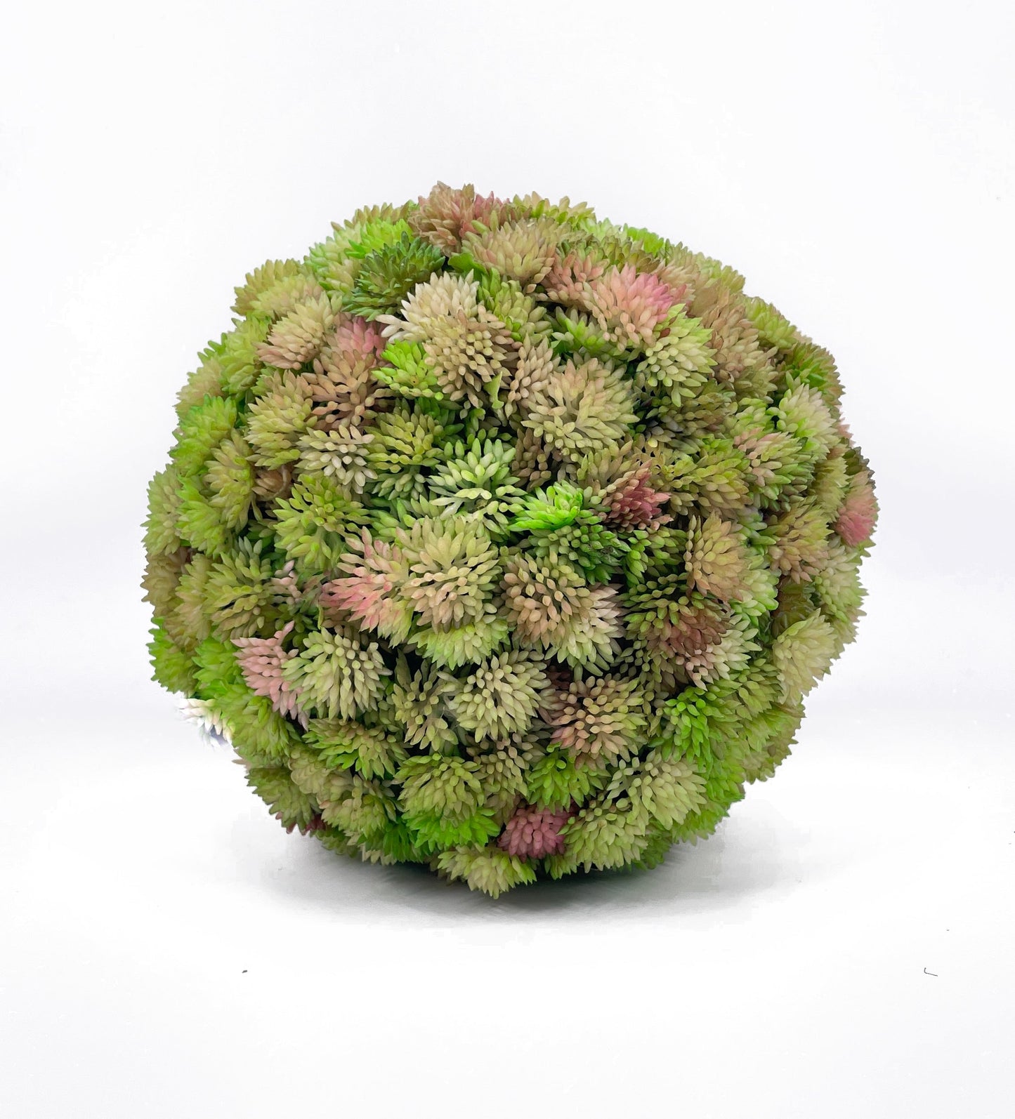 FL11643 SUCCULENT BALL,9in-6P/12/5.46'