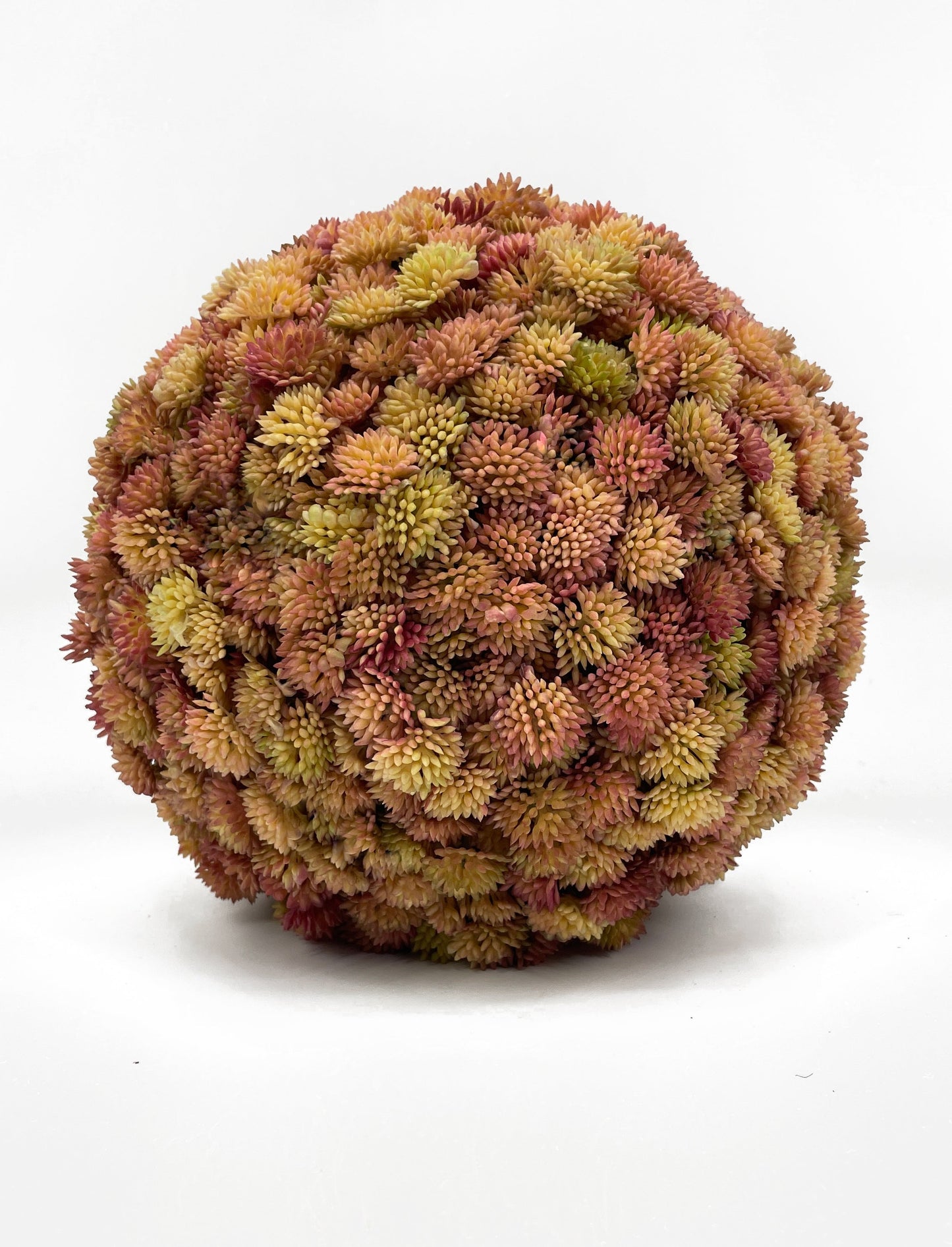 FL11643 SUCCULENT BALL,9in-6P/12/5.46'