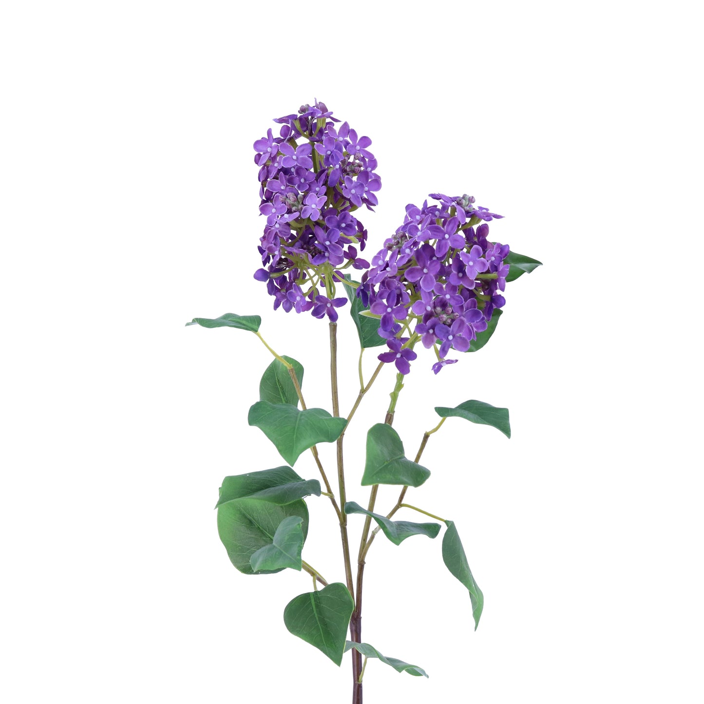 FL11771 LILAC SPRAY w/LVS,32in-12/72P
