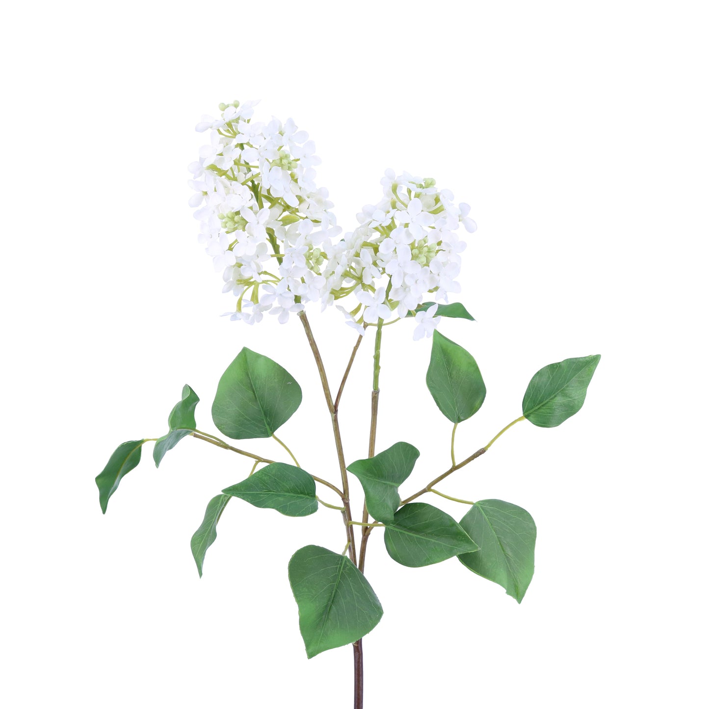 FL11771 LILAC SPRAY w/LVS,32in-12/72P