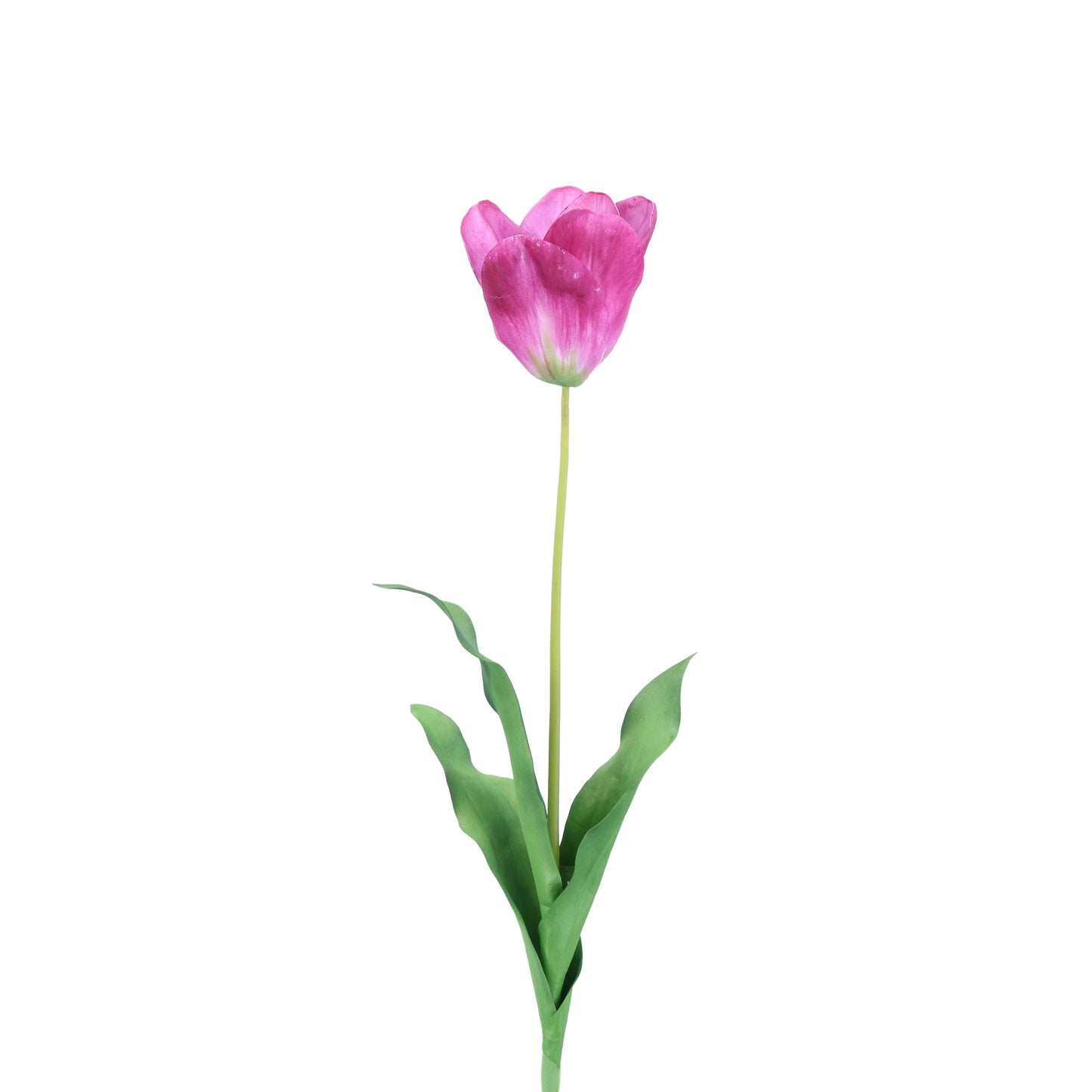 FL11773 DUTCH TULIP,29in-12/96P