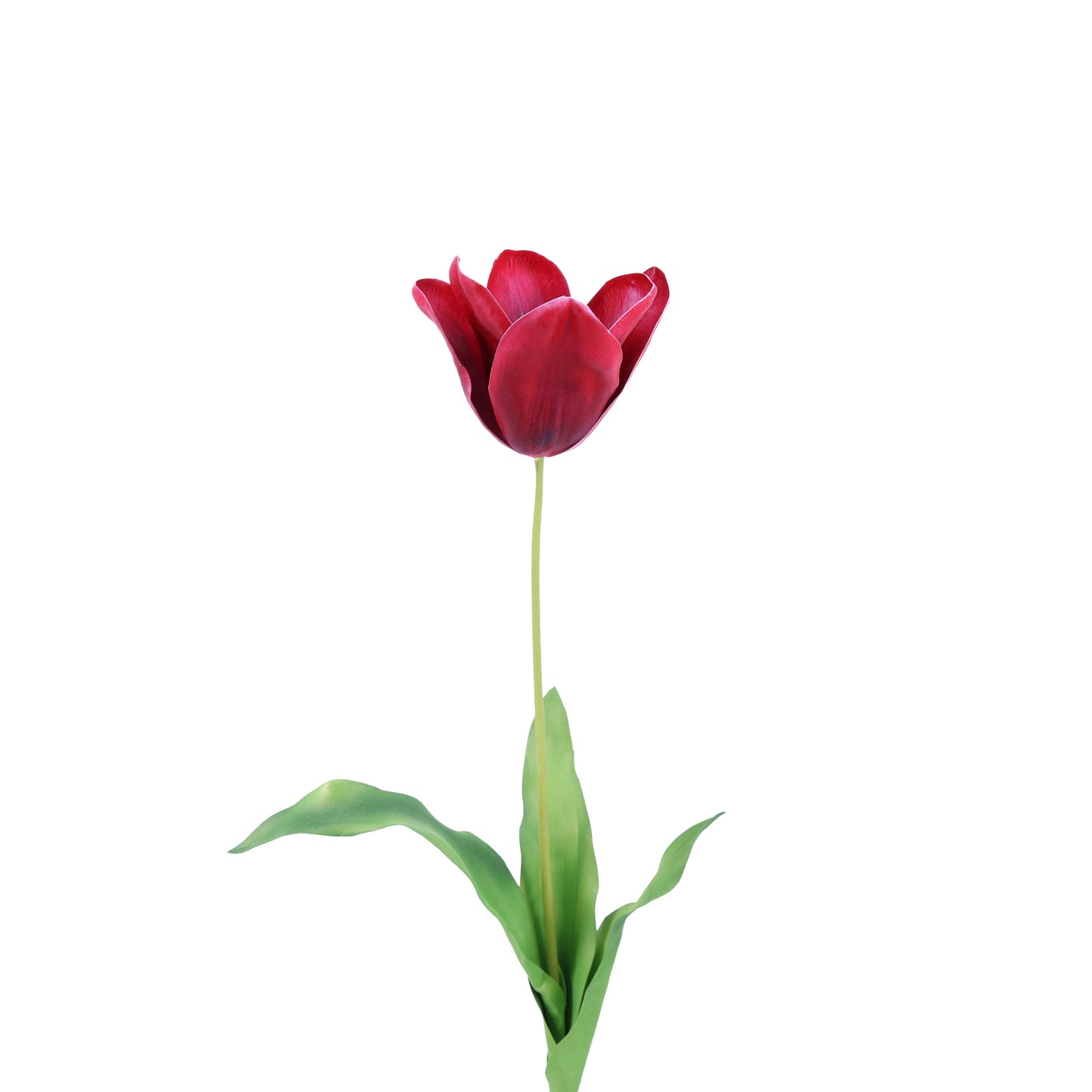 FL11773 DUTCH TULIP,29in-12/96P
