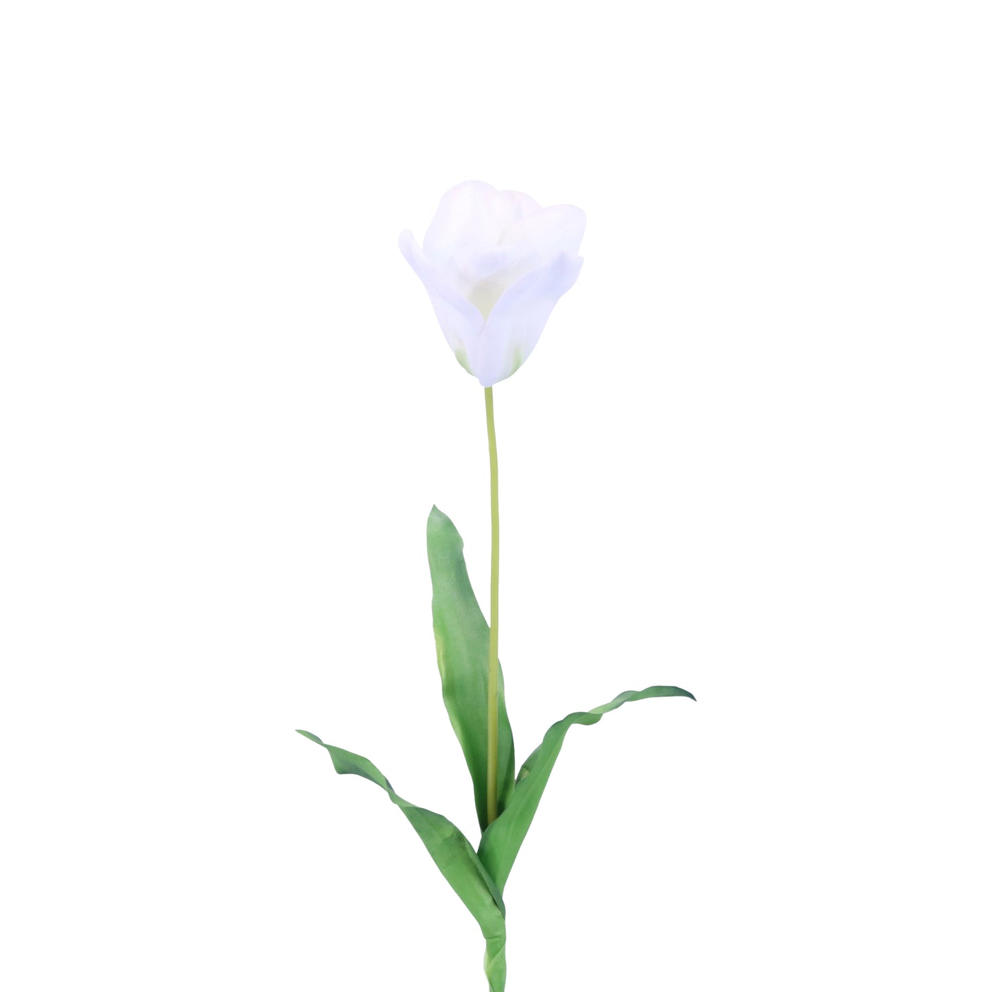 FL11773 DUTCH TULIP,29in-12/96P