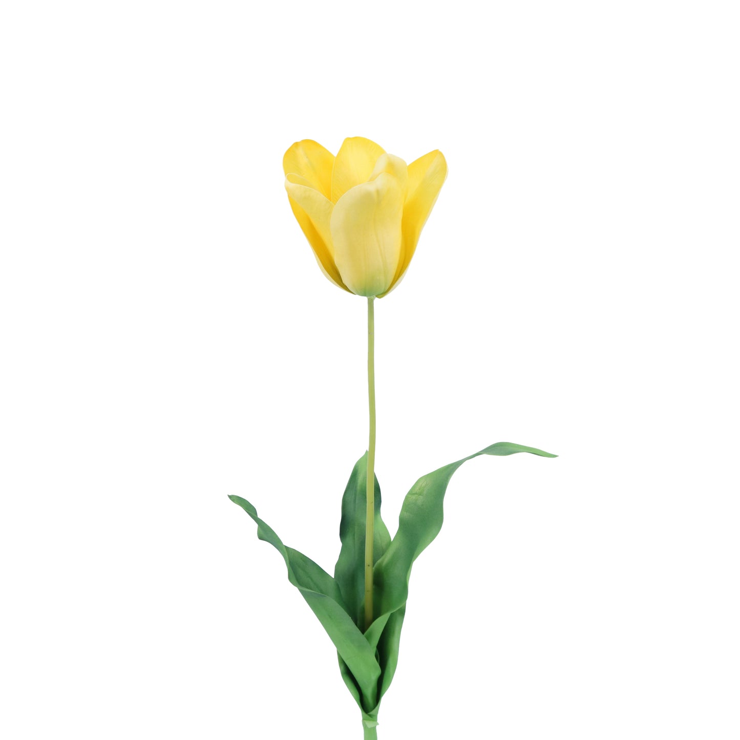 FL11773 DUTCH TULIP,29in-12/96P